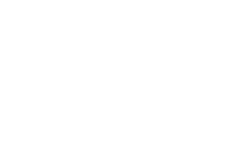 Arts Council of Anne Arundel County logo