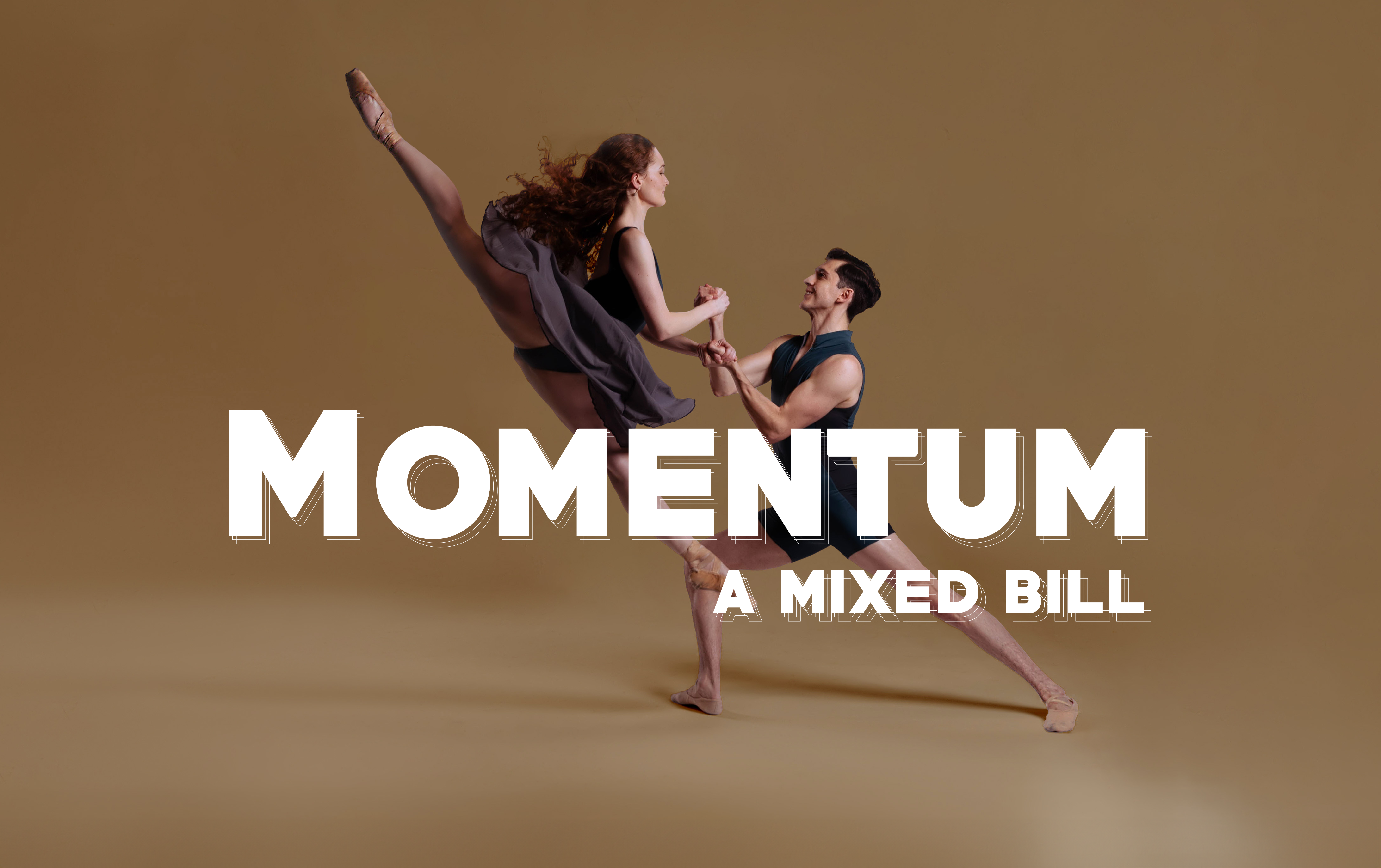 Momentum: A Mixed Bill